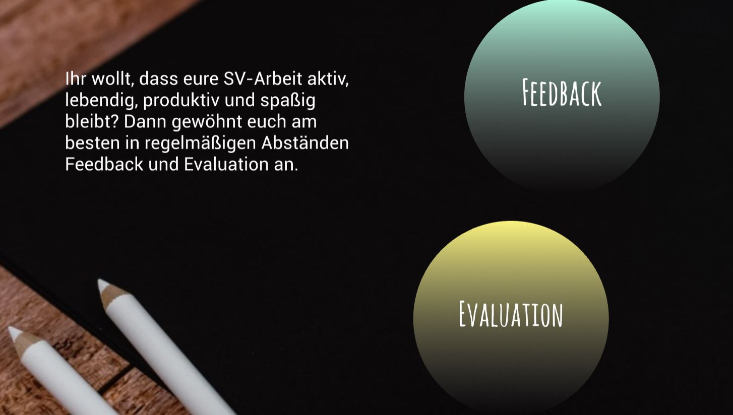Feedback Reflexion SV